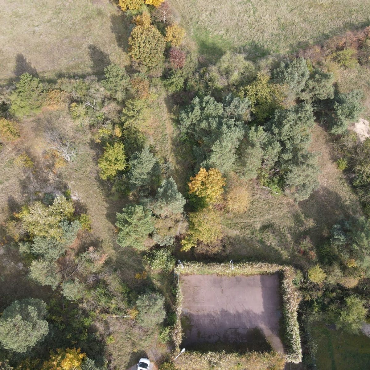 WhatsApp Image 2025-11-11 at 1.42.41 PM.jpeg